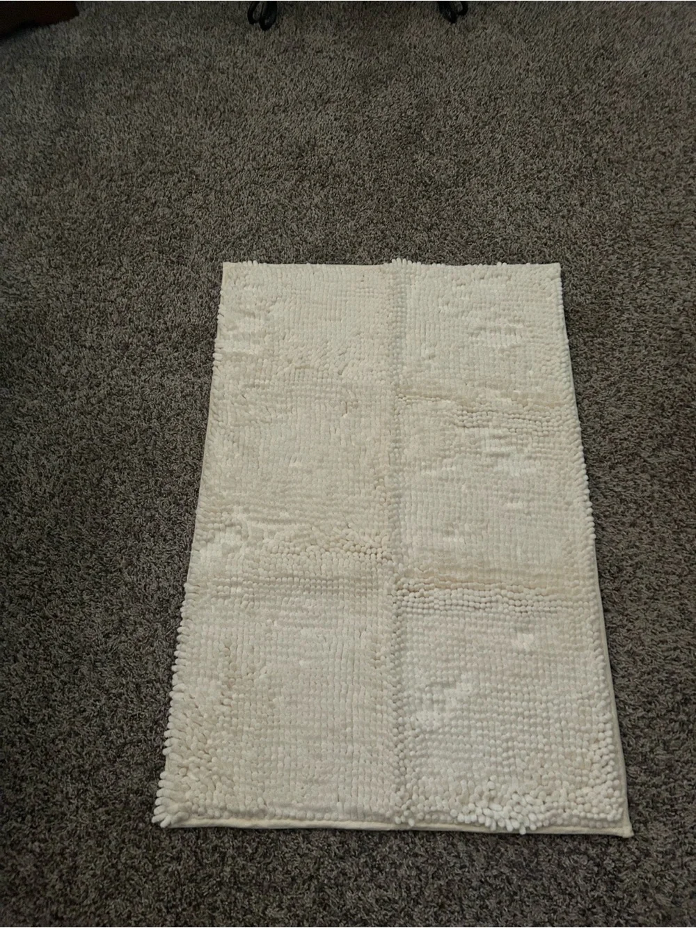 Muddy Mat rug for pet’s dirty paws anywhere in your home.